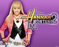 °°°?Hannah Montana?°°° 73720959