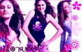 °°°♥H2O Star, Phoebe Tonkin♥°°° 73779914