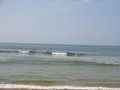 Surfen in Frankreich 28461959