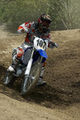 Motocross 72379094