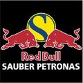 Red Bull logos 74114853