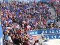 bEaChVoLLeYbAll GrAnD sLaM 06 8391382