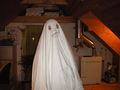 Halloween 2009 70181197