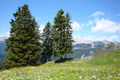 Hiking in Tirol 61437261