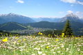 Hiking in Tirol 61437310