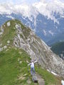 Hiking in Tirol 61437790