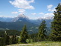Hiking in Tirol 61438113