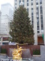 Christmas_in NYC 50395077