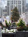 Christmas_in NYC 50395275