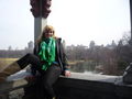 NY_Sightseeing mit Morgan  56155933