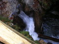 Vogel- Gsang- Klamm 29172919