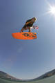 Kite Pics 4373333