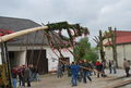 Maibaum 09, Party in der Gemüsehalle 59773306