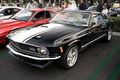 Mustang 75302894