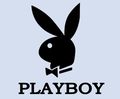 Playboy 73303660