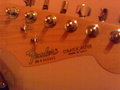 on the road with my strat!!!!!!! 11993044