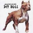 pit bull 68812030