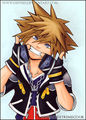 Kingdom Hearts 75176556