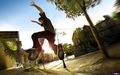 Skate 2 69406096