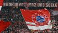 FC BAYERN MÜNCHEN 73420837