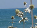 Urlaubsfotos Kreta 2008 44186686