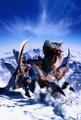 monster hunter 29691401