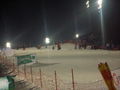 Schladming 26.1.2010 71243442