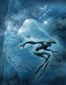 own art gallery 69062241