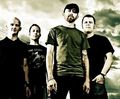 Rise Against 72322058