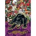 Ed Hardy 69069027