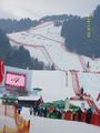 Hahnenkamm  2010  71196196