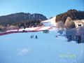 Hahnenkamm  2010  71196462