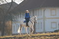 Horselady - Fotoalbum