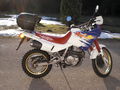 Motorad 73007251