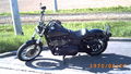 Meine Harley 58512383