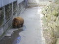 Tierpark Stadt Haag 72811251