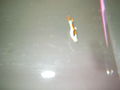  Mei oids Aquarium meine oid´n Fische  71453511