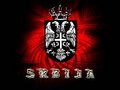 SerbianLover - Fotoalbum