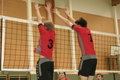 Hallenvolleyball 17638817