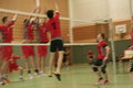 Hallenvolleyball 17638933