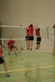 Hallenvolleyball 17639135