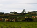 IRLAND landscape 11286988