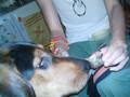 BoBBy My DoGGy!!!!*NEUE DABEI* 2249807