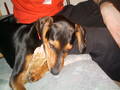 BoBBy My DoGGy!!!!*NEUE DABEI* 2249833