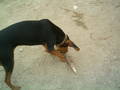 BoBBy My DoGGy!!!!*NEUE DABEI* 2249910