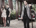 Vampire Diaries  73268011