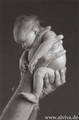 Anne Geddes 2625979