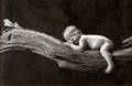 Anne Geddes 2626020