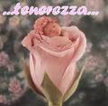 Anne Geddes 2626092