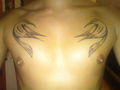 my tattoo 48794905